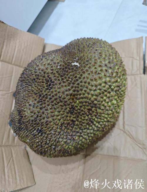 国内精品自在自线菠萝蜜视频